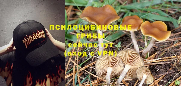 MDMA Карпинск
