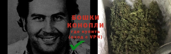 прущие грибы Карталы