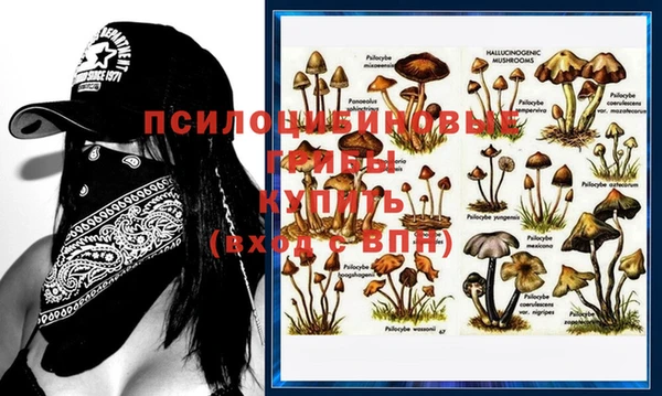прущие грибы Карталы