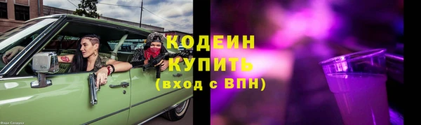 прущие грибы Карталы