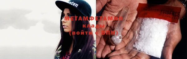 прущие грибы Карталы