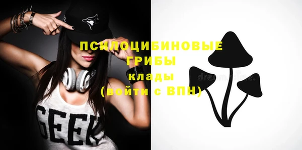MDMA Карпинск