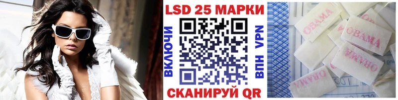Купить закладки  Питкяранта  Марки N-bome 1,5мг 